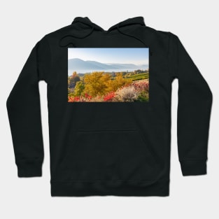 Okanagan Valley Autumn Landscape Hoodie